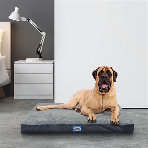 orthopedic bed for dogs.